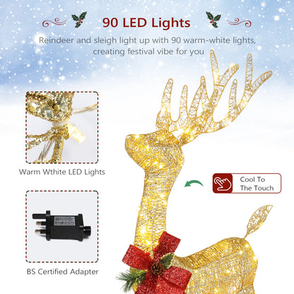 Lighted Christmas Reindeer